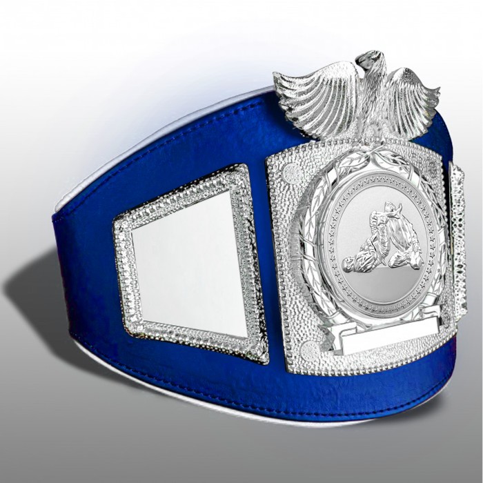 PROEAGLE JIU JITSU CHAMPIONSHIP BELT - PROEAGLE/S/JJS - AVAILABLE IN 6+ COLOURS